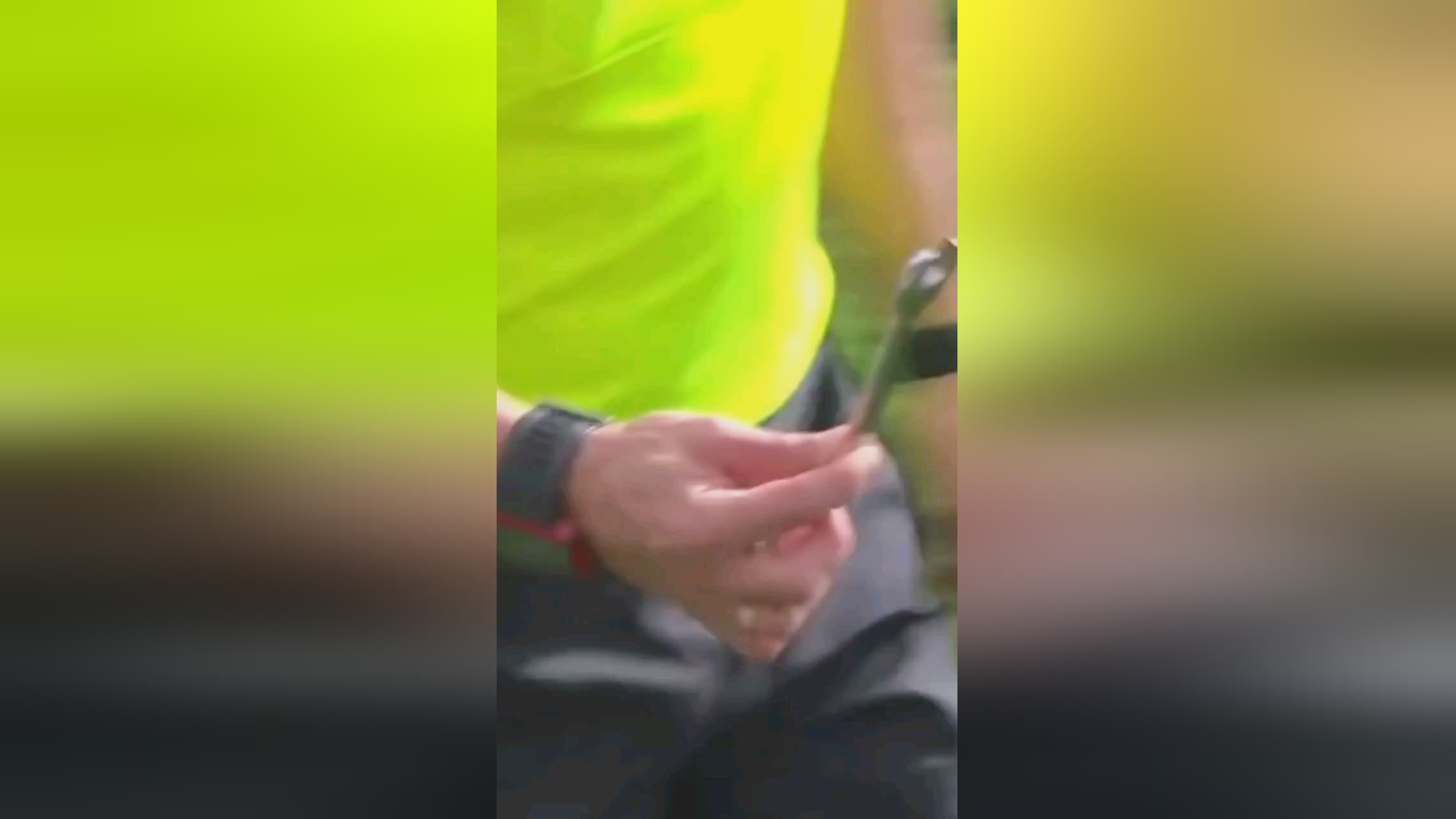 队奠